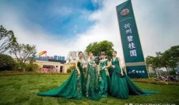 忻州碧桂园爆料最新消息,揭秘项目进展与未来规划