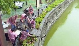 江苏动物园爆料最新消息,神秘动物亮相，揭秘背后故事